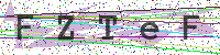 Enter Security Code