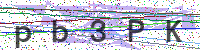 Enter Security Code