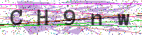 Enter Security Code