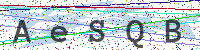 Enter Security Code