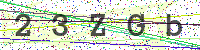 Enter Security Code