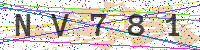 Enter Security Code