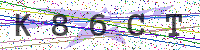 Enter Security Code
