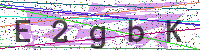 Enter Security Code