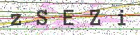 Enter Security Code