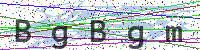 Enter Security Code