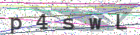 Sicherheitscode eingeben