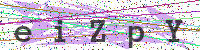 Enter Security Code