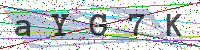 Sicherheitscode eingeben