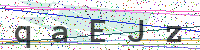 Enter Security Code