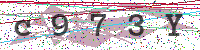 Enter Security Code