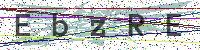 Enter Security Code