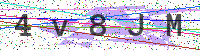 Enter Security Code
