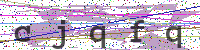 Enter Security Code