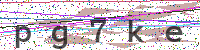 Enter Security Code