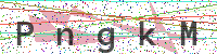 Enter Security Code