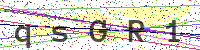 Enter Security Code