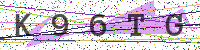 Enter Security Code