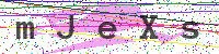 Enter Security Code
