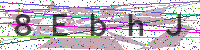 Enter Security Code