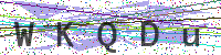 Enter Security Code