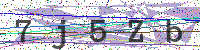 Enter Security Code