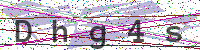 Enter Security Code