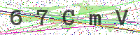 Enter Security Code