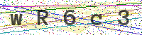 Enter Security Code