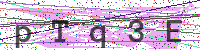 Enter Security Code