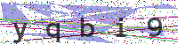 Enter Security Code