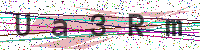 Enter Security Code