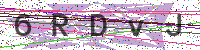 Enter Security Code