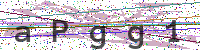 Enter Security Code
