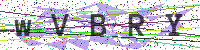 Enter Security Code