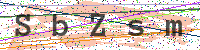 Enter Security Code