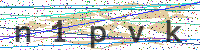 Enter Security Code