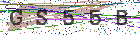 Enter Security Code