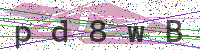 Enter Security Code