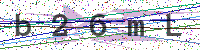 Enter Security Code