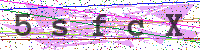 Enter Security Code
