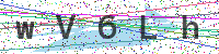 Enter Security Code