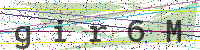 Sicherheitscode eingeben