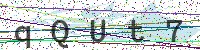 Enter Security Code