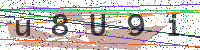 Sicherheitscode eingeben