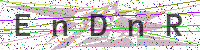 Enter Security Code