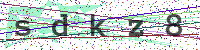 Enter Security Code