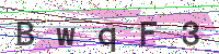 Enter Security Code