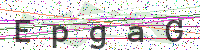 Enter Security Code