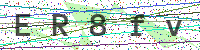 Enter Security Code